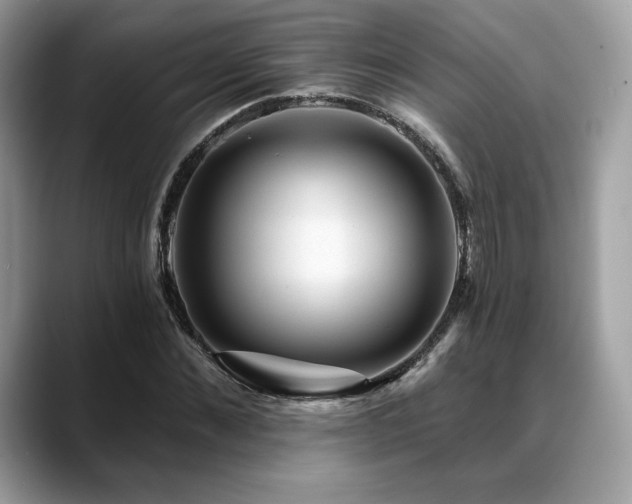 X0000088730876200705311427