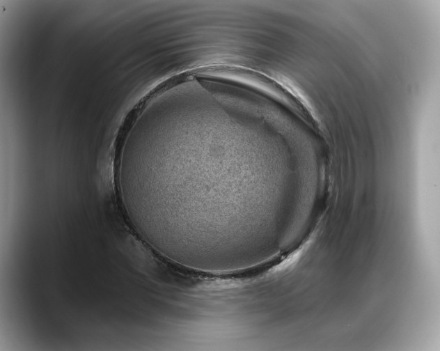 X0000088730877200705311427