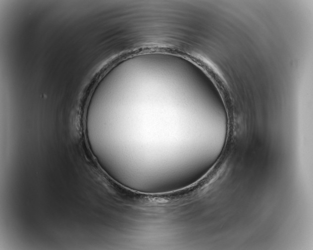 X0000088730878200705311427