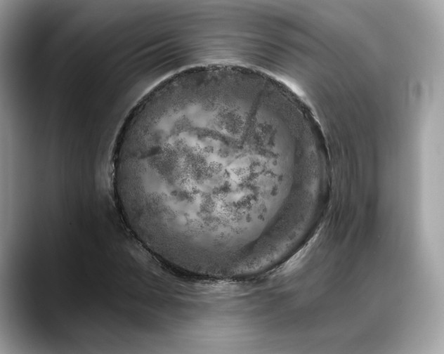 X0000088730879200705311427