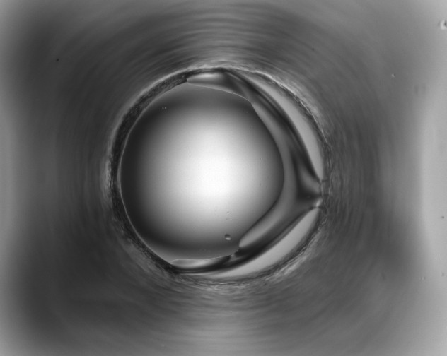 X0000088730880200705311427