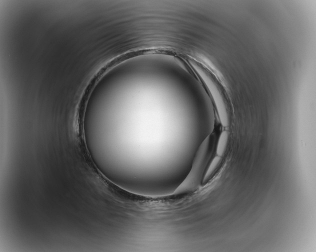 X0000088730883200705311427