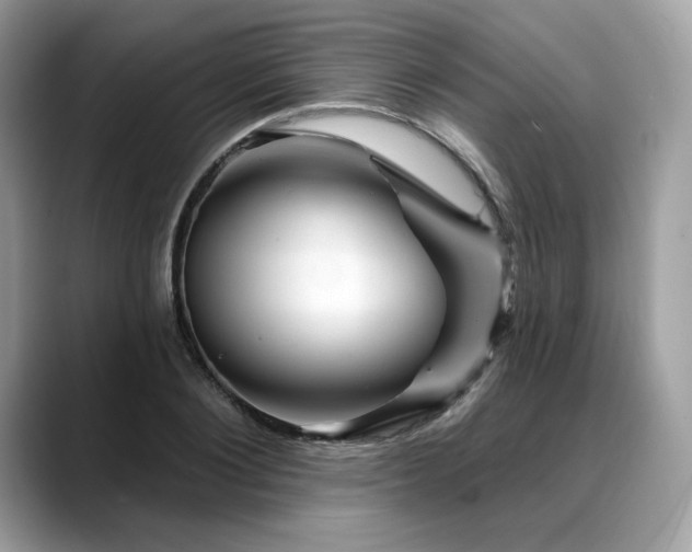 X0000088730884200705311427
