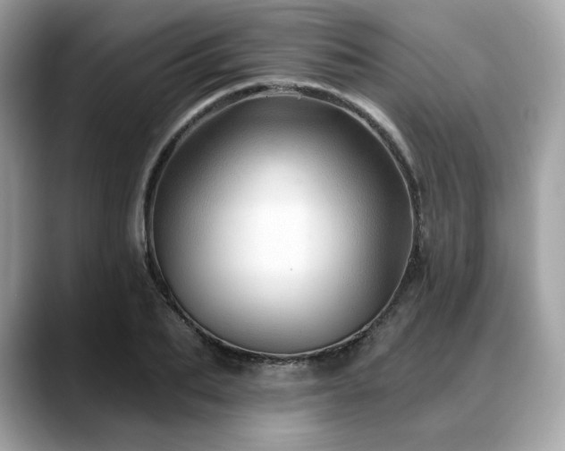 X0000088730887200705311427