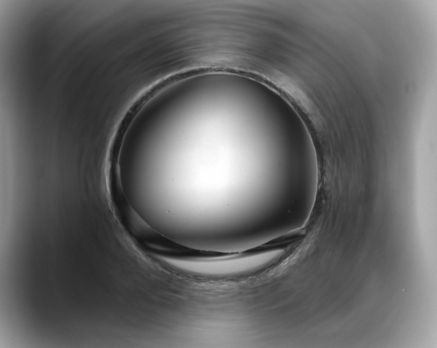 X0000088730888200705311427