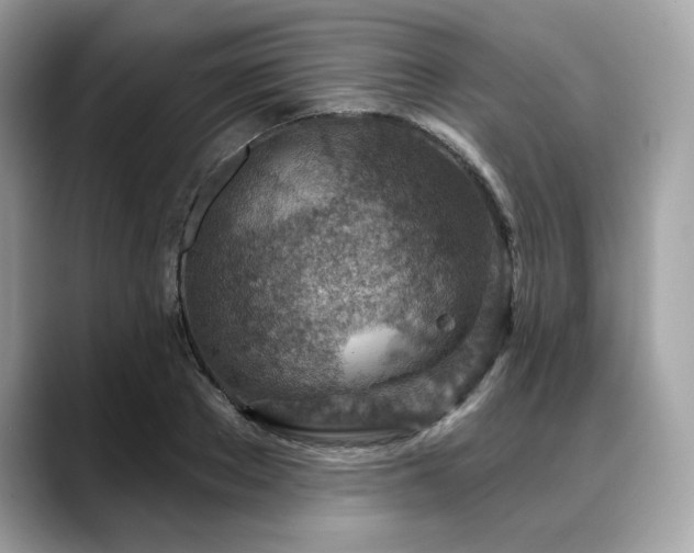 X0000088730889200705311427