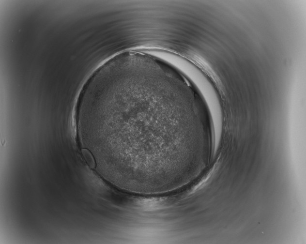X0000088730892200705311427