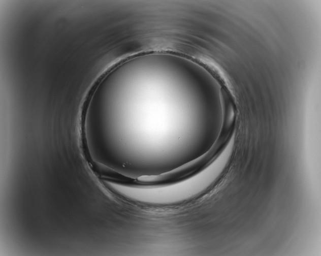 X0000088730894200705311427