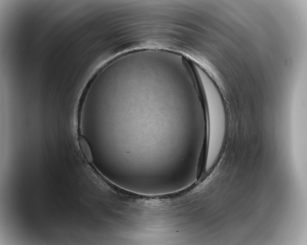X0000088730896200705311427