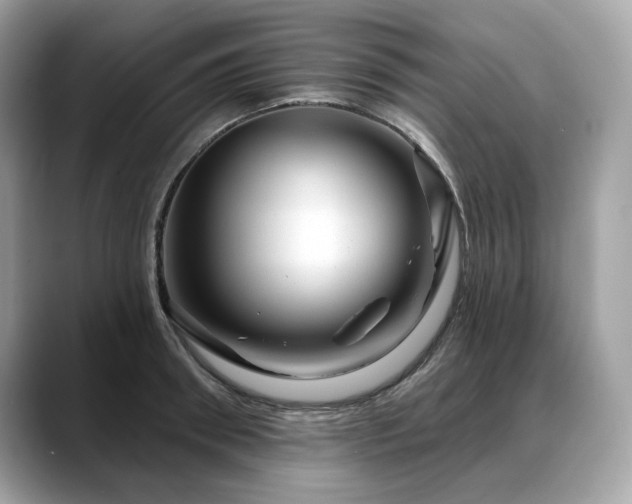 X0000088730898200705311427
