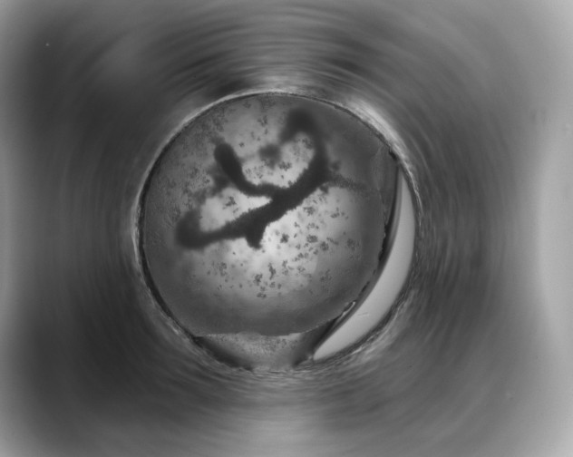 X0000088730899200705311427