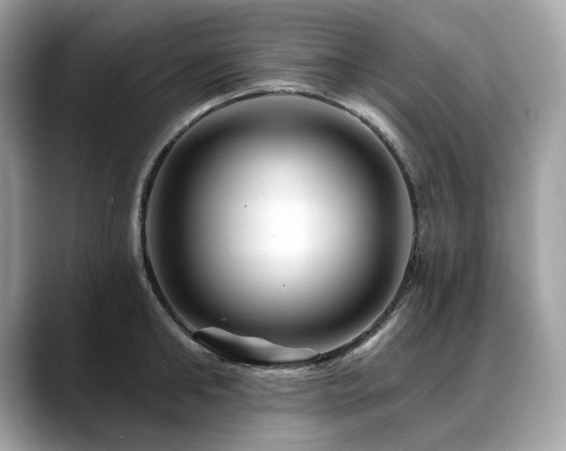 X0000088730902200705311427