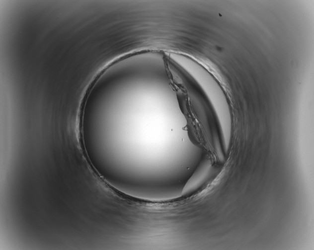 X0000088730904200705311426