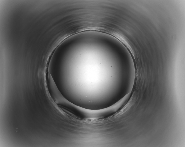 X0000088730906200705311426