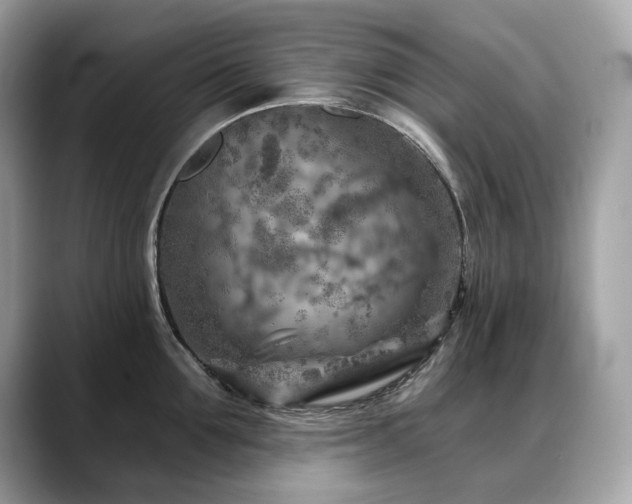 X0000088730907200705311426