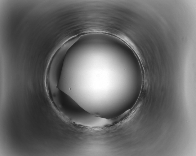 X0000088730909200705311426