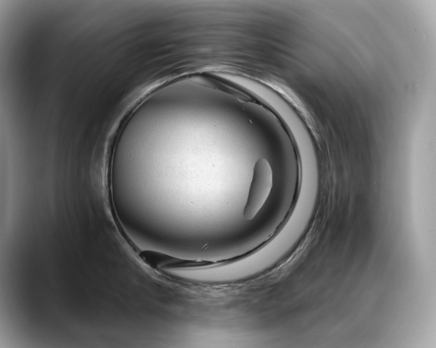 X0000088730910200705311426