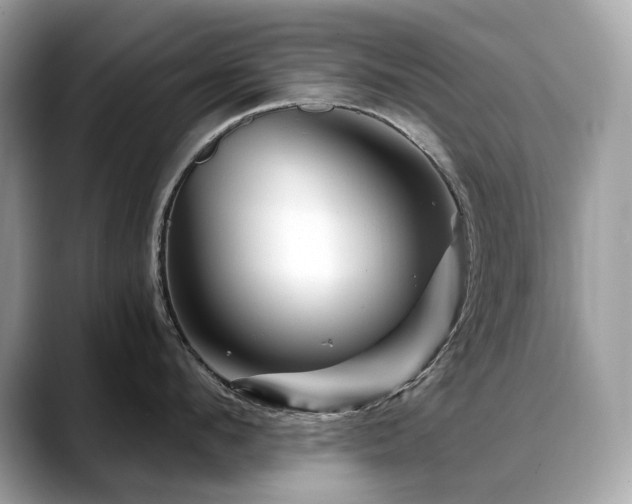 X0000088730912200705311426
