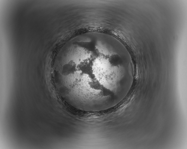X0000088730913200705311426
