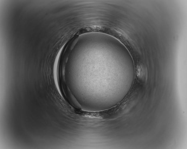 X0000088730915200705311426