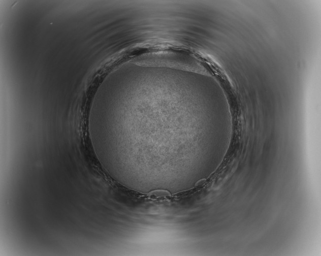 X0000088730919200705311426