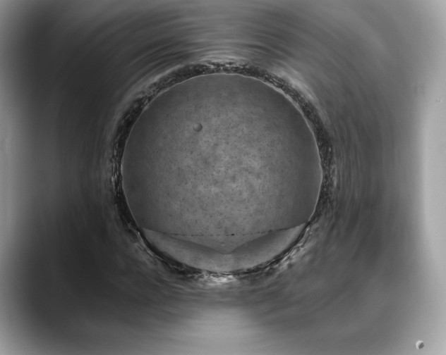 X0000088730920200705311426