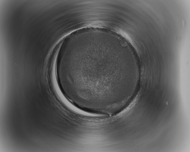 X0000088730923200705311426
