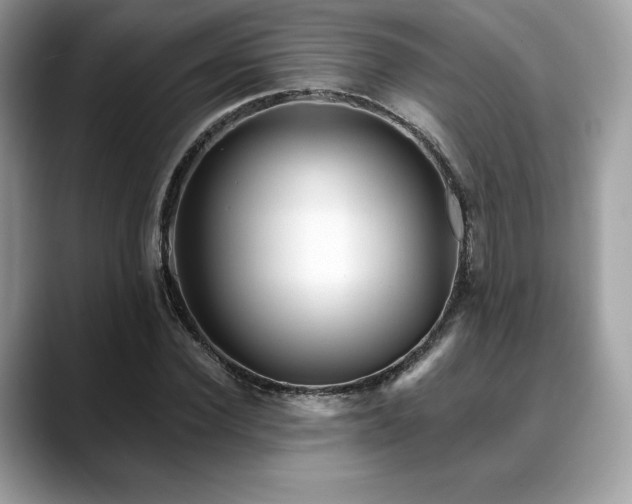 X0000088730924200705311426