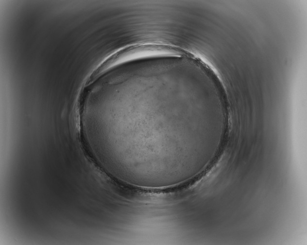 X0000088730925200705311426