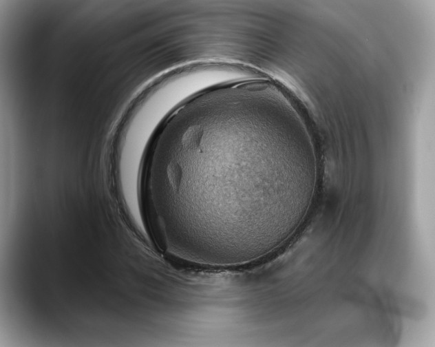 X0000088730926200705311426
