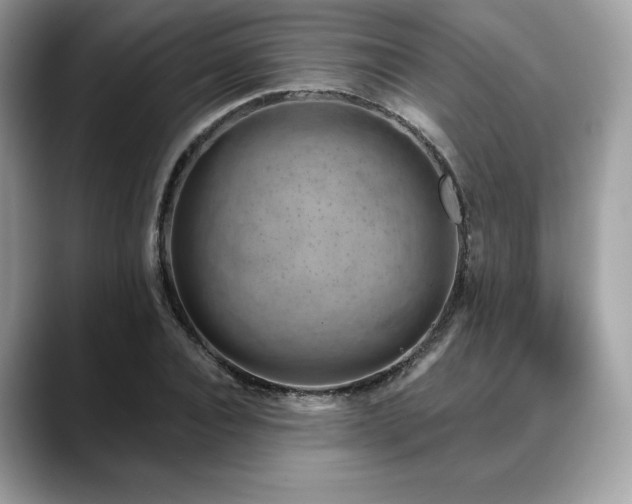 X0000088730928200705311426