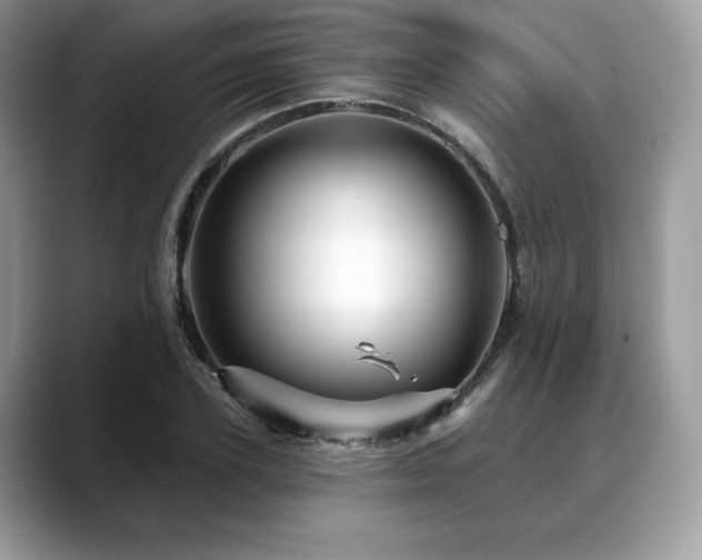 X0000088730931200705311426