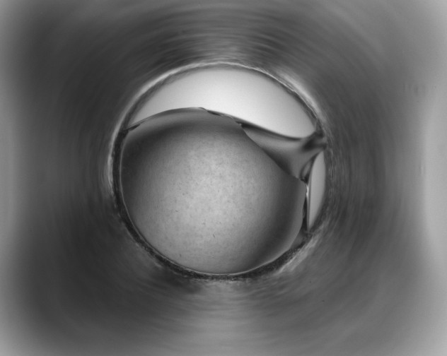 X0000088730932200705311426