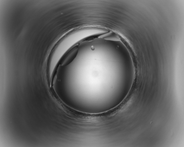 X0000088730933200705311426