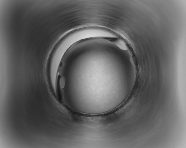 X0000088730934200705311426