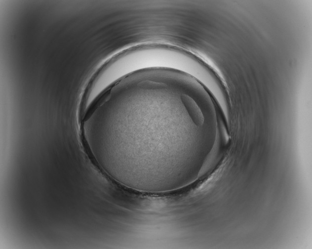 X0000088730935200705311426