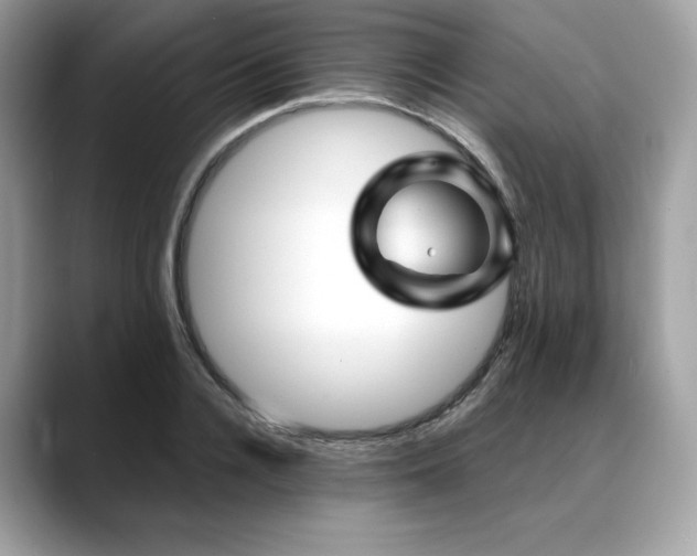 X0000088730936200705311426
