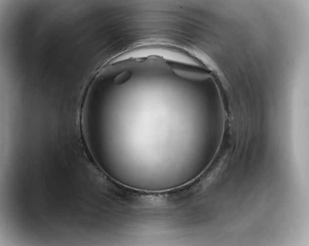 X0000088730937200705311426