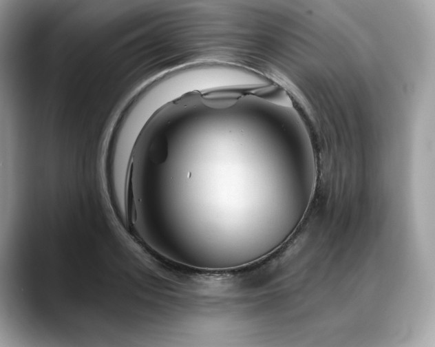 X0000088730939200705311426