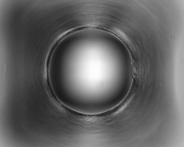 X0000088730940200705311426