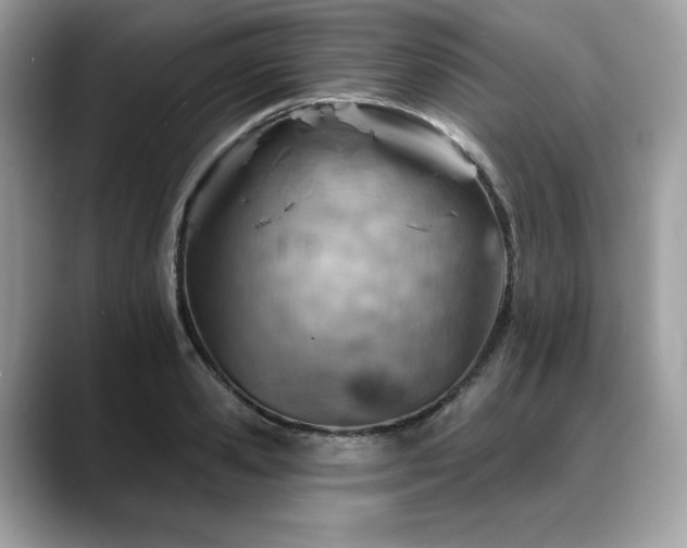X0000088730941200705311426