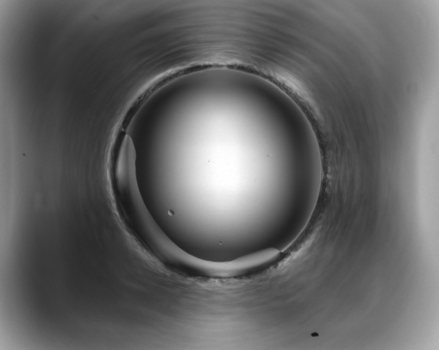 X0000088730942200705311426