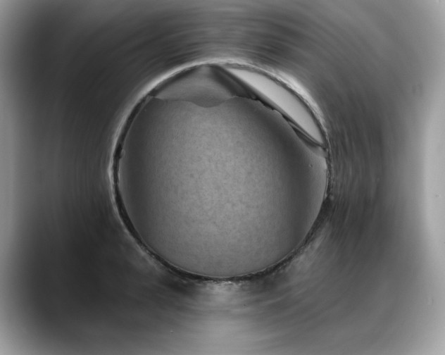 X0000088730943200705311426