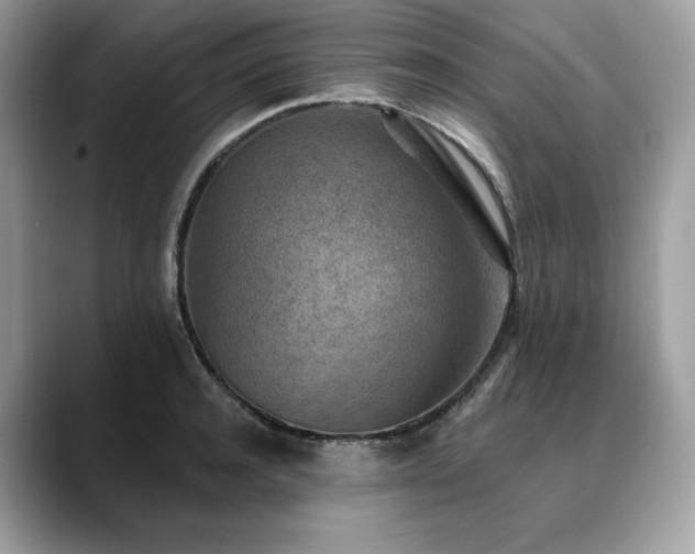 X0000088730944200705311426