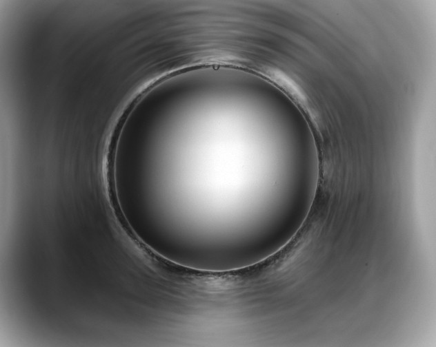 X0000088730947200705311426