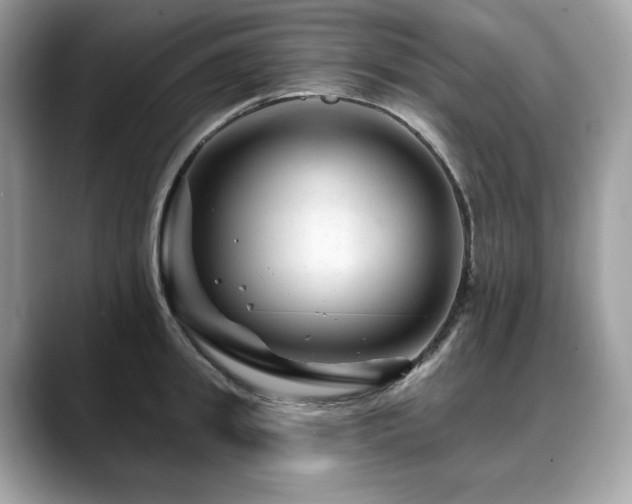 X0000088730949200705311426