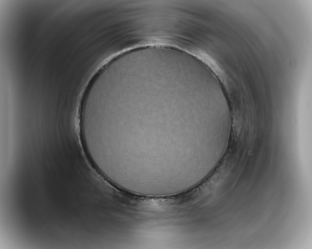 X0000088730950200705311426
