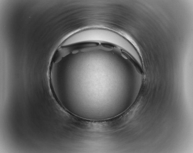 X0000088730951200705311426