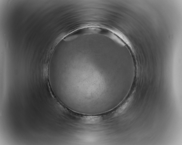 X0000088730953200705311426