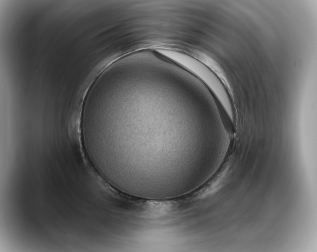 X0000088730954200705311426
